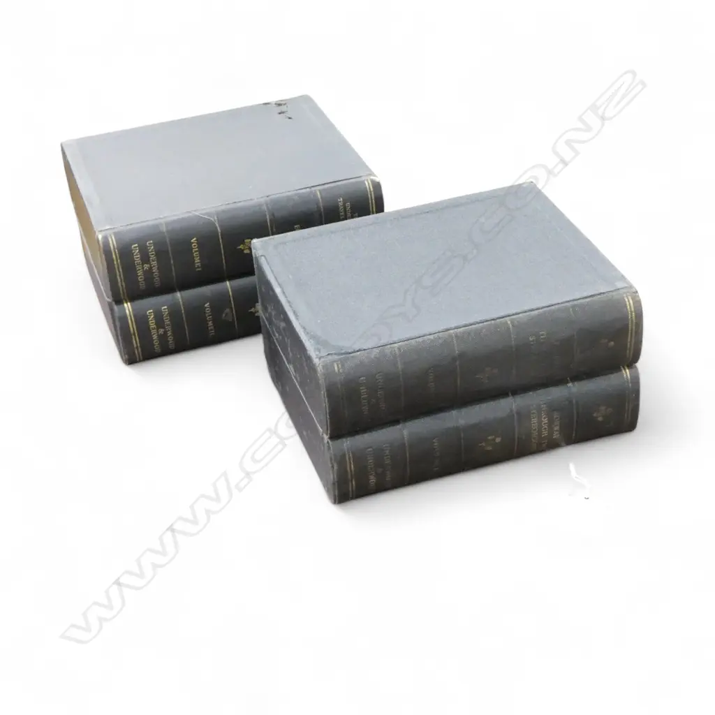 ASST. OLD STEROSCOPE CARDS IN 'UNDERWOOD & UNDERWOOD' BOOK FORM BOXES; 98 EGYPT + 25 GERMAN Image 1++