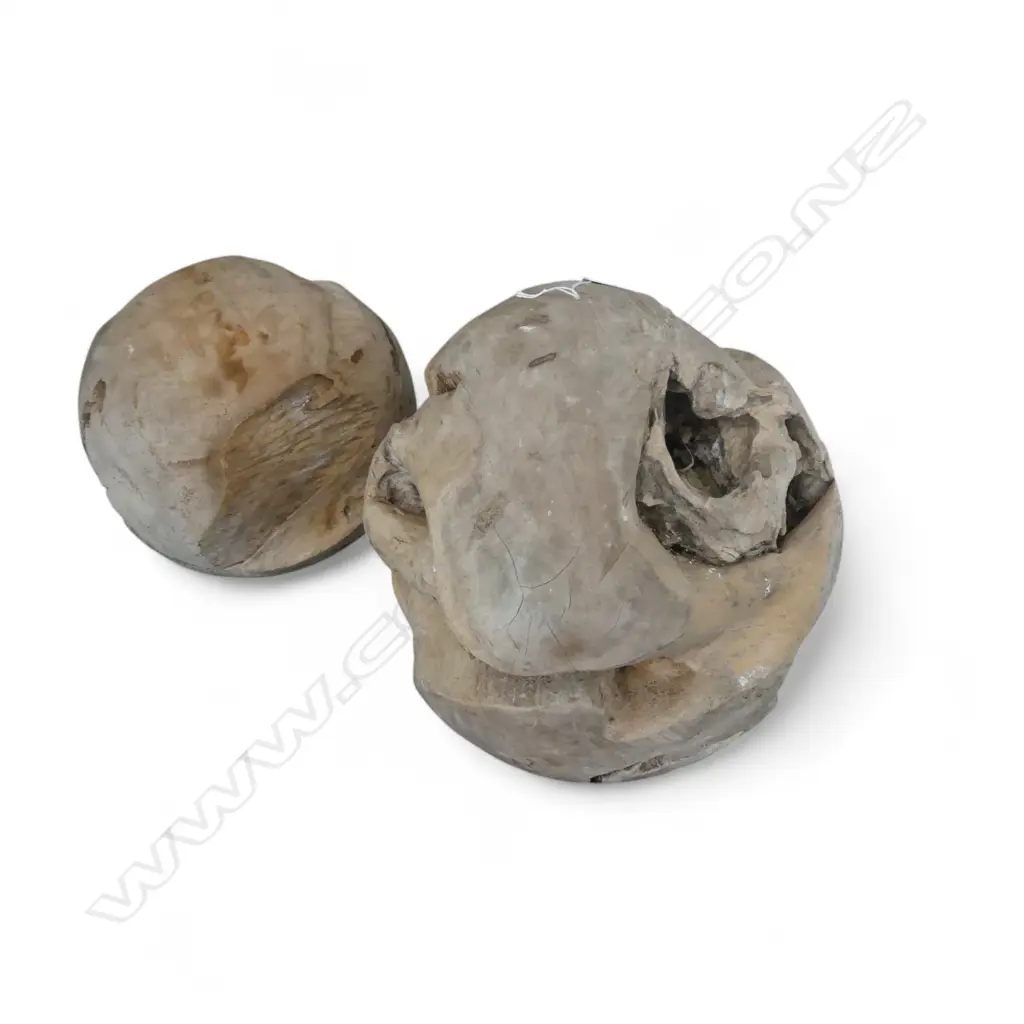 2 LGE HARDWOOD DRIFTWOOD CARVED BALL SCULPTURES. Lgest Dia.360mm Image 1++