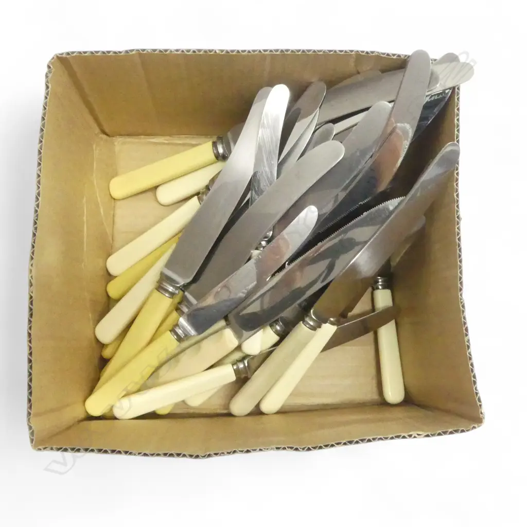 ASST. IVORINE 'BONE' KNIVES etc  Image 1++
