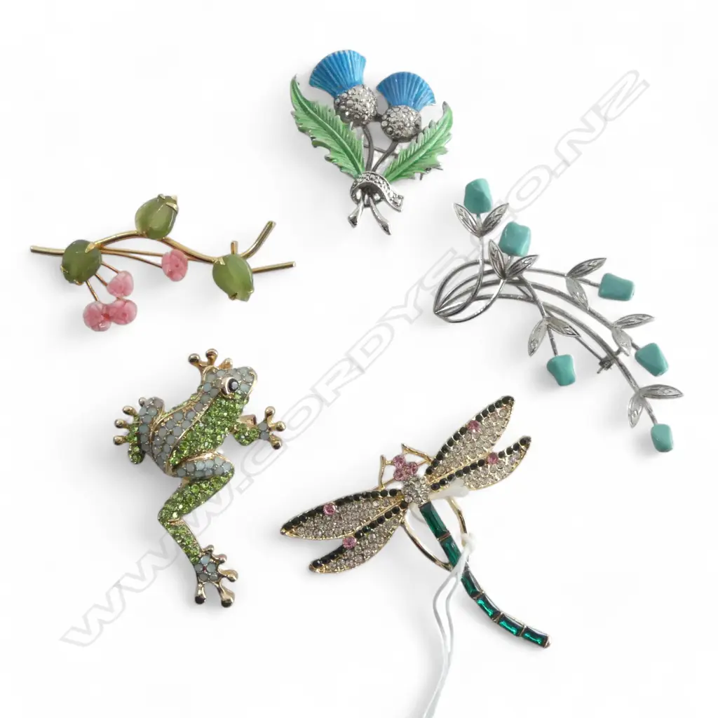 5 COSTUME BROOCHES; FROG, DRAGONFLY ETC Image 1++