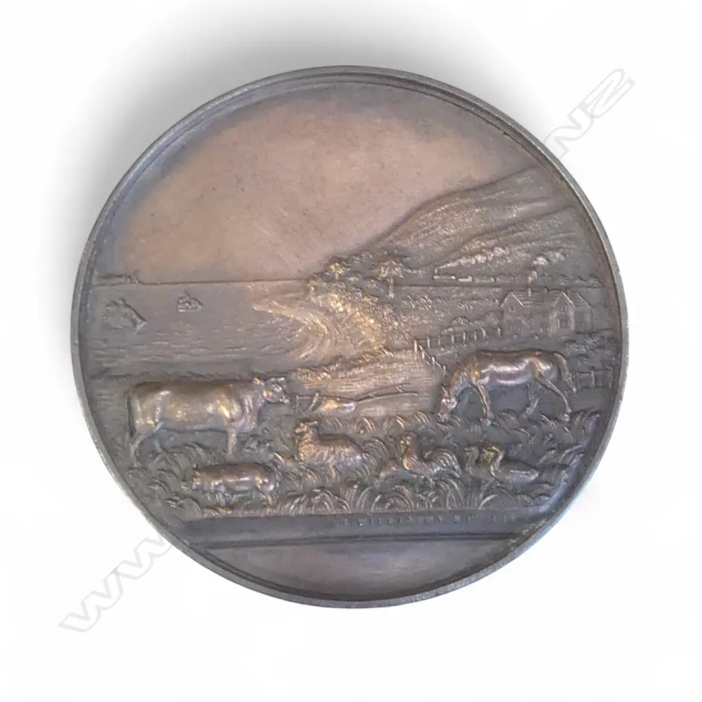 'HUTT DISTRICT AGRICULTURAL HORTICULTURAL AND PASTORAL SOCIETY' 1877 bronze medallion. Cased Image 1++