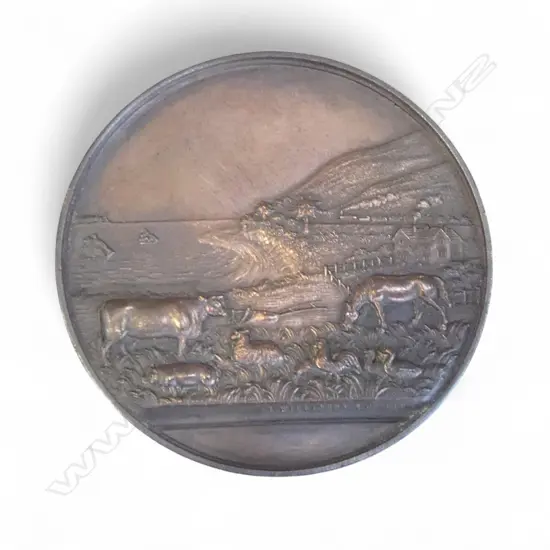 'HUTT DISTRICT AGRICULTURAL HORTICULTURAL AND PASTORAL SOCIETY' 1877 bronze medallion. Cased