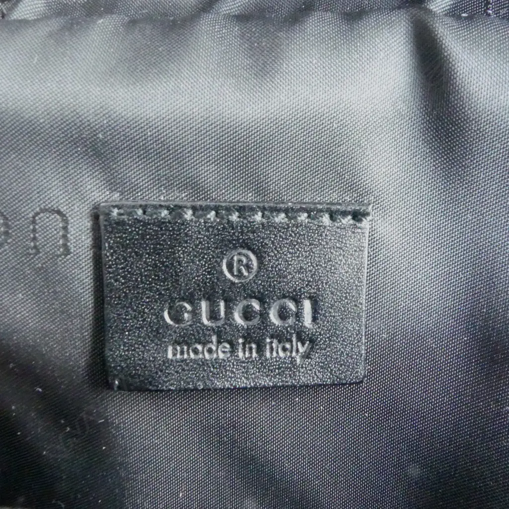 GUCCI FLUORO WAIST BAG, NYLON & LEATHER, PLATE LOGO BUCKLE, unused new condition, Purchased DFS Downtown, Auckland Image 1++