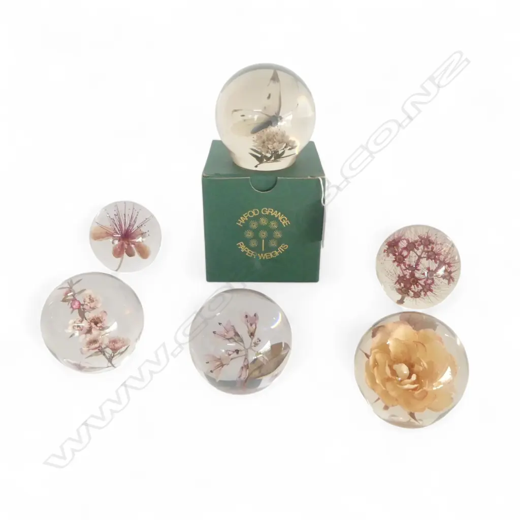 COLLECTION OF 6 HAFOD GRANGE NZ FLORA PAPER WIEGHTS TALLEST 80MM Image 1++