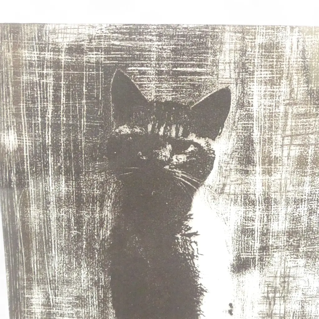 FRAMED LINOCUT PRINT OF A CAT, NUMBERED 1/20 & SIGNED,370 X 300MM Image 1++