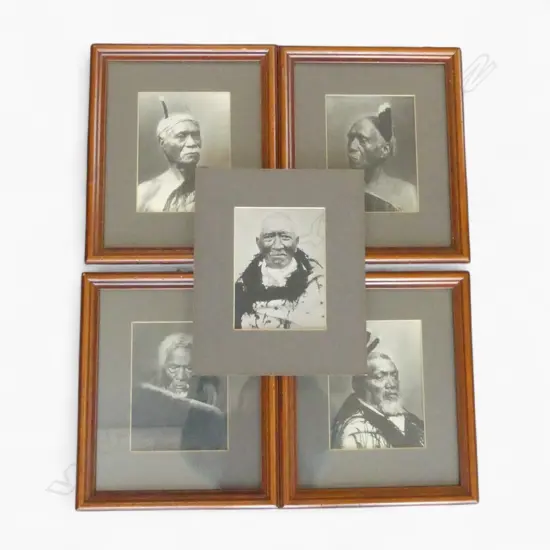 5 REPRINT MAORI PORTRAIT PHOTOGRAPHS various chiefs w huia feather etc. 4 FRAMED 330 x 280mm 