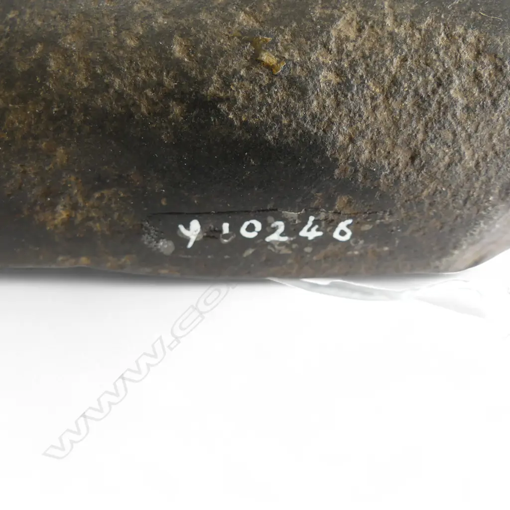 Two Māori pre-European stone toki. Both registered. One broken Y10246 L.110mm. Y07689. L.76mm. Note: Buyer must be registered to purchase. Image 1++