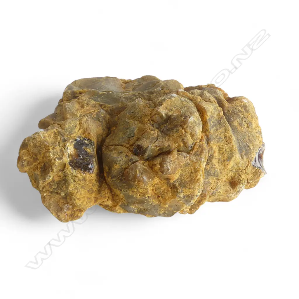 LARGE PARTLY RUBBED KAURI GUM NUGGET L250MM DIA230 DEPTH 100MM Image 1++