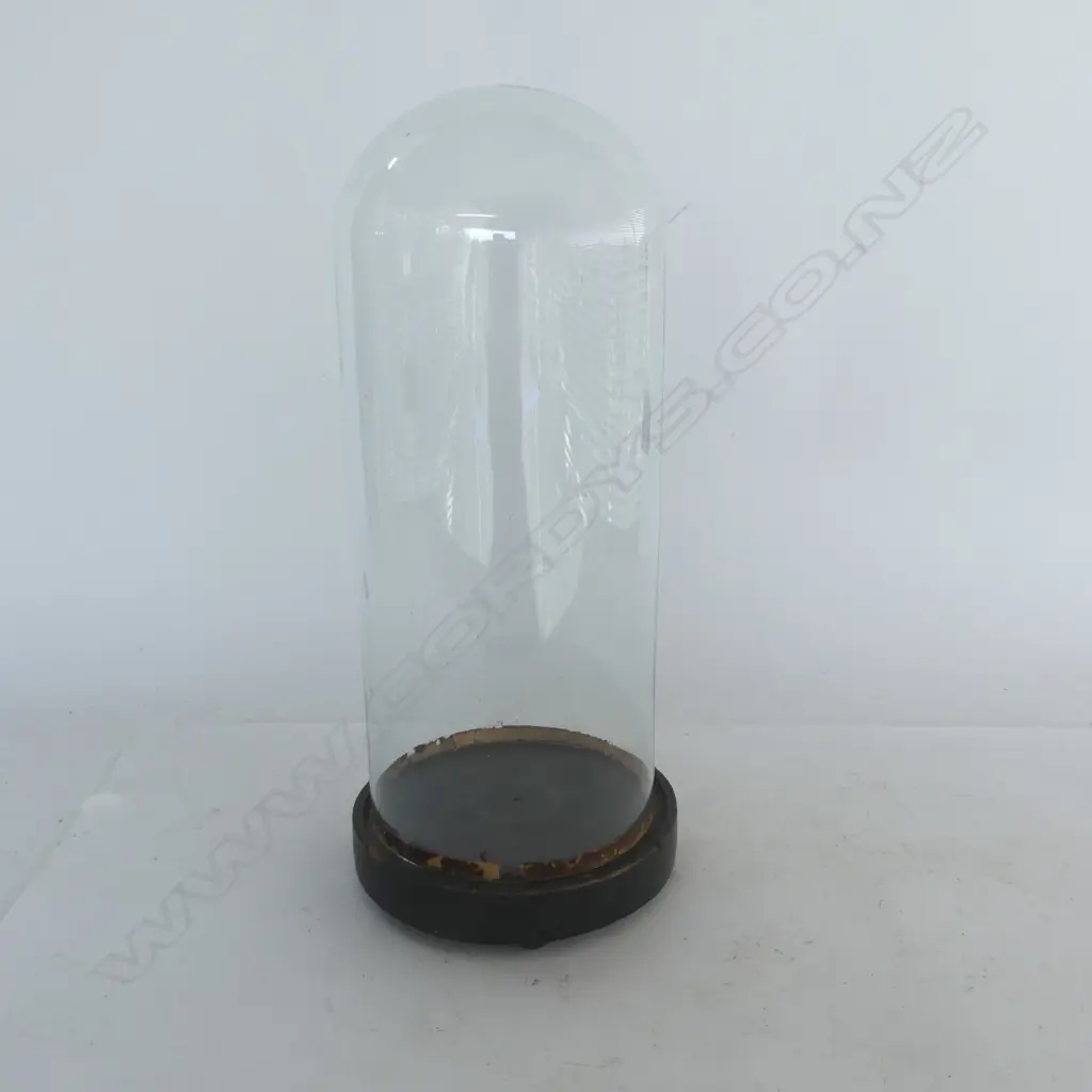 ANTIQUE GLASS DOME H.420mm Image 1++