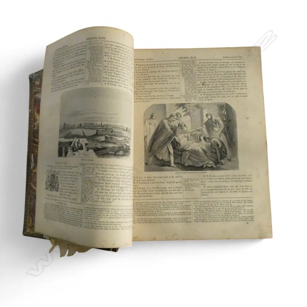 LG HOLY BIBLE C.1908 SPINE AF 270x140x330mm Image 1++