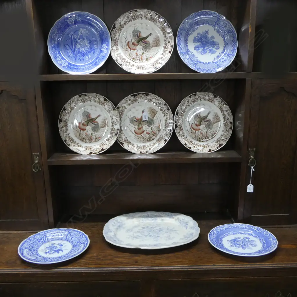 ASST LGE PLATES: Johnson Bros. 'Wild Turkey' + Blue & White Botanical plates + ashette w chip Image 1++