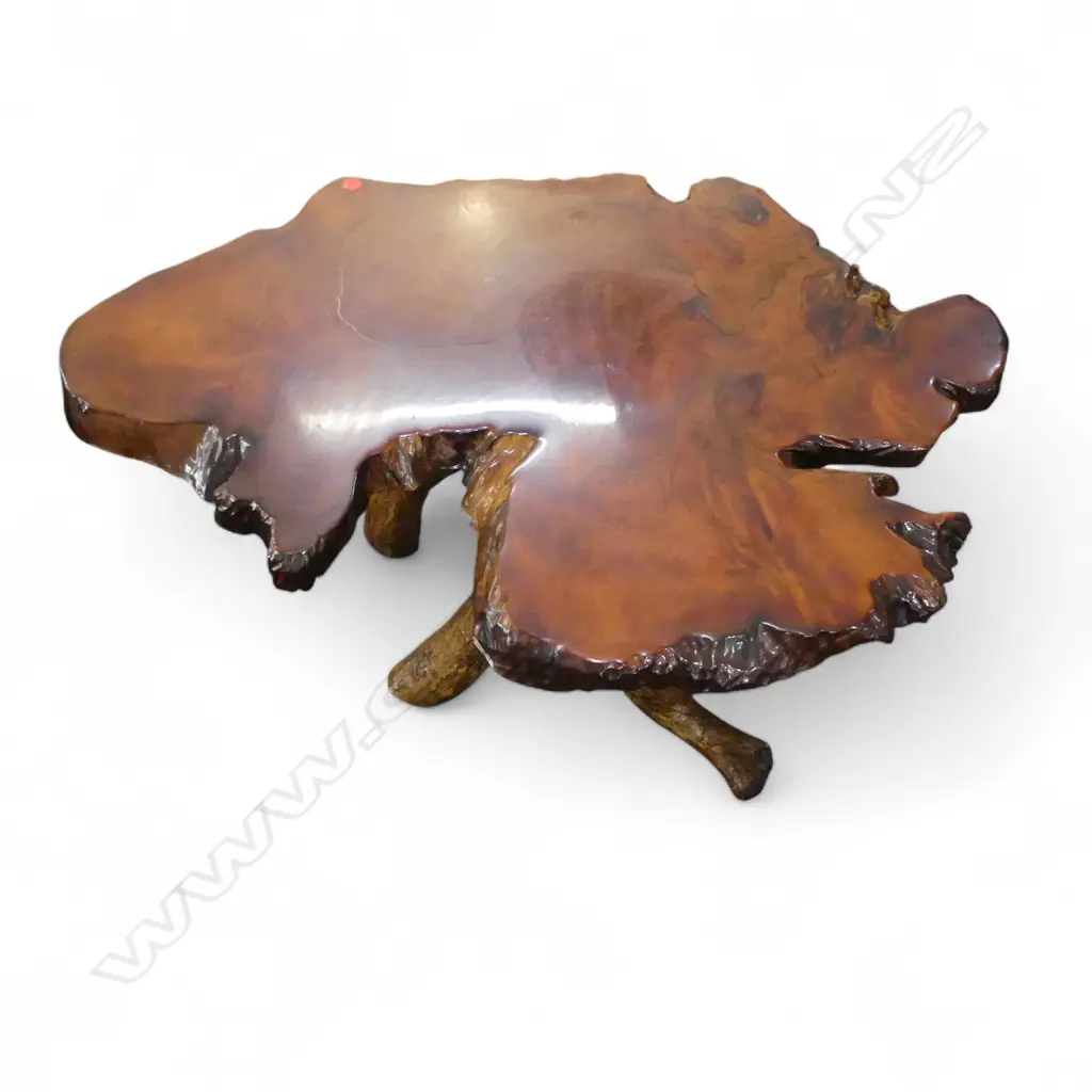 A SWAMP KAURI COFFEE TABLE (BASE MADE FROM DIFFERENT WOOD) 480 x 1100mm Image 1++