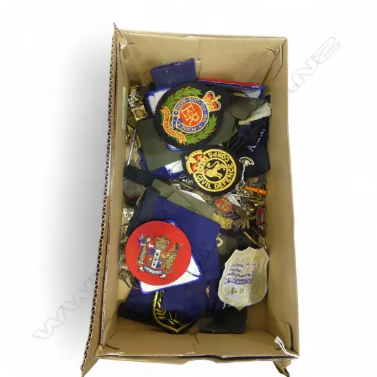 ASST. MILITARY PINS & BADGES ETC