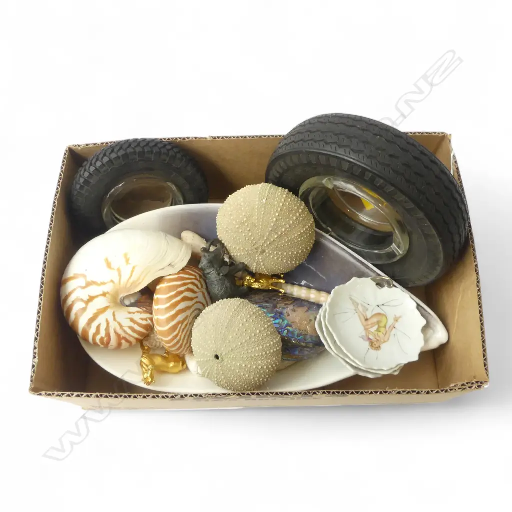 NOVELTY ASHTRAYS & SHELL COLLECTION; KINA, NAUTILUS, PAUA ETC Image 1++