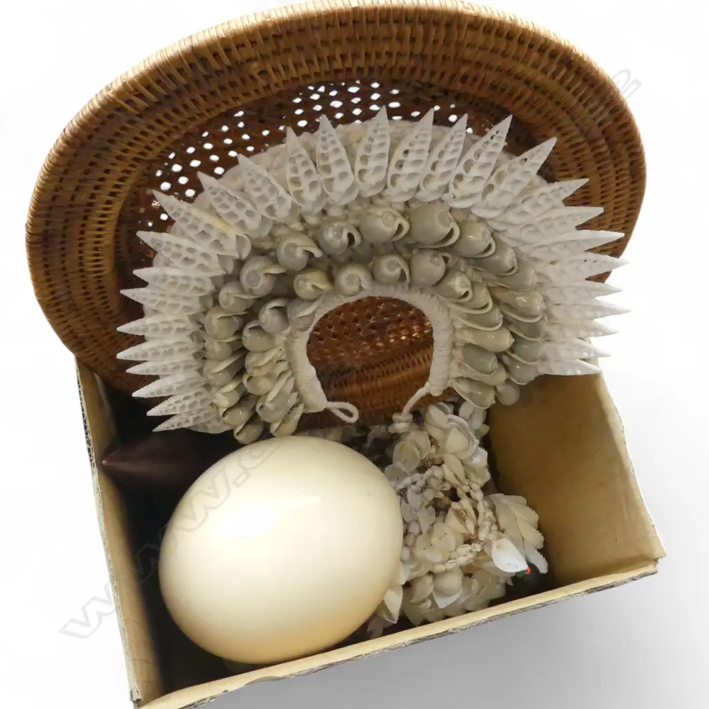 SHELLS, OSTRICH EGG, CRYSTALS ETC Image 1++