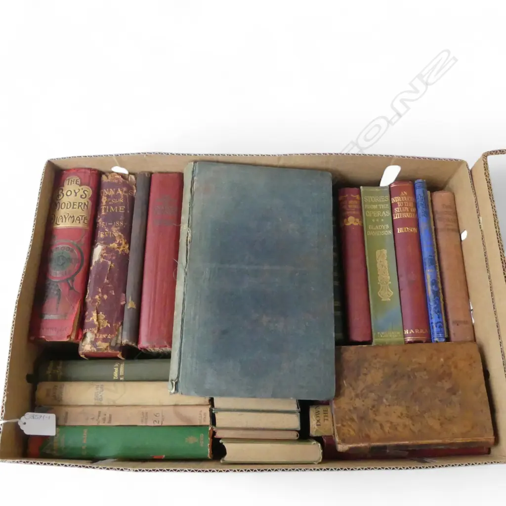 ASST. ENGLISH LIT BOOKS etc Image 1++