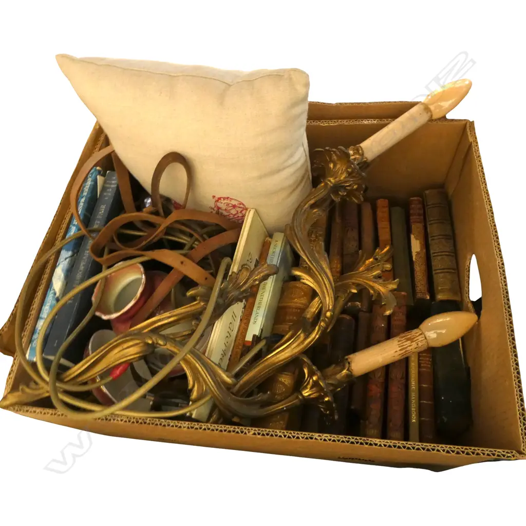 ANTIQUE BOOKS, PR GILT METAL SCONCES (MIRROR PR) ETC Image 1++