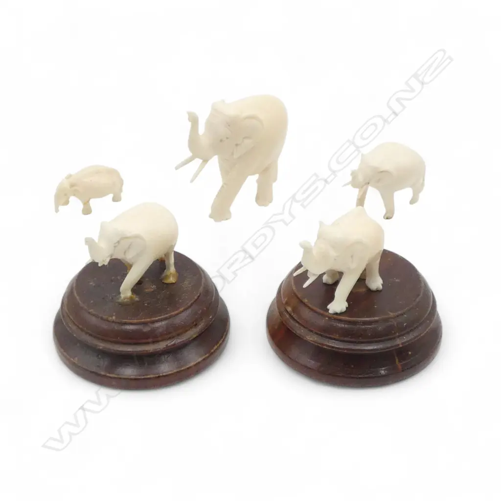 5 SMALL CARVED IVORY ELEPHANTS Image 1++