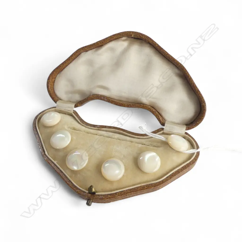 Vintage boxed mother of pearl set 6 buttons - pins missing Image 1++