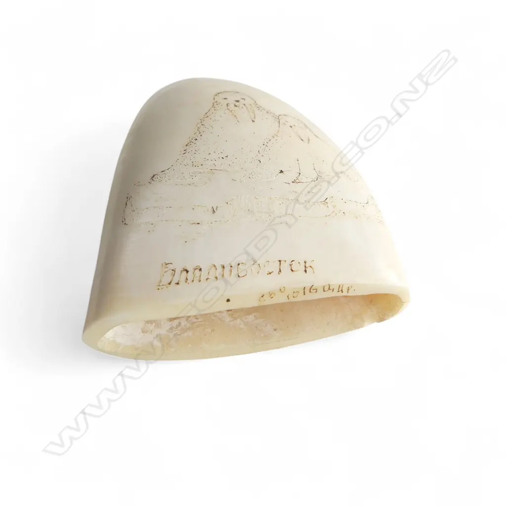 SPERM WHALE TOOTH scrimshaw engraved with 2 walrus. Matt polished. Flat base allowing standing. H.120mm Image 1++
