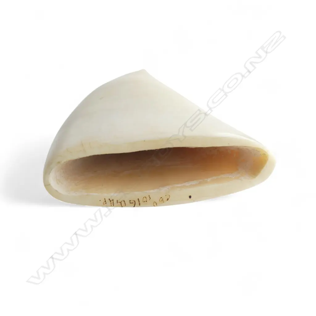 SPERM WHALE TOOTH scrimshaw engraved with 2 walrus. Matt polished. Flat base allowing standing. H.120mm Image 1++