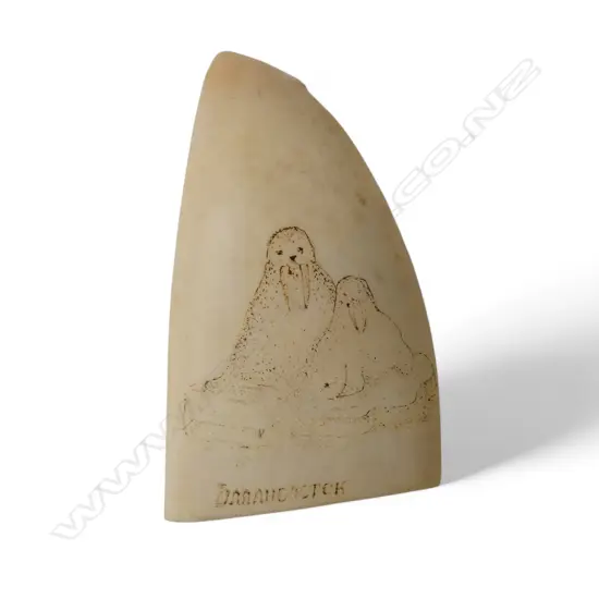 SPERM WHALE TOOTH scrimshaw engraved with 2 walrus. Matt polished. Flat base allowing standing. H.120mm