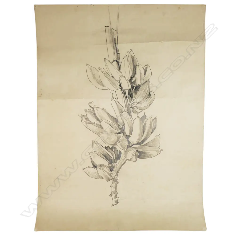 Denis Knight Turner (NZ 1924-2011) five drawings, Image 1++