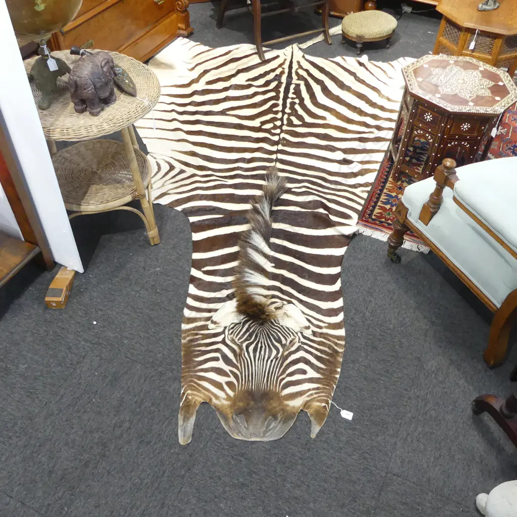 ZEBRA SKIN RUG with tail & mane 3000x180mm approx. Image 1++