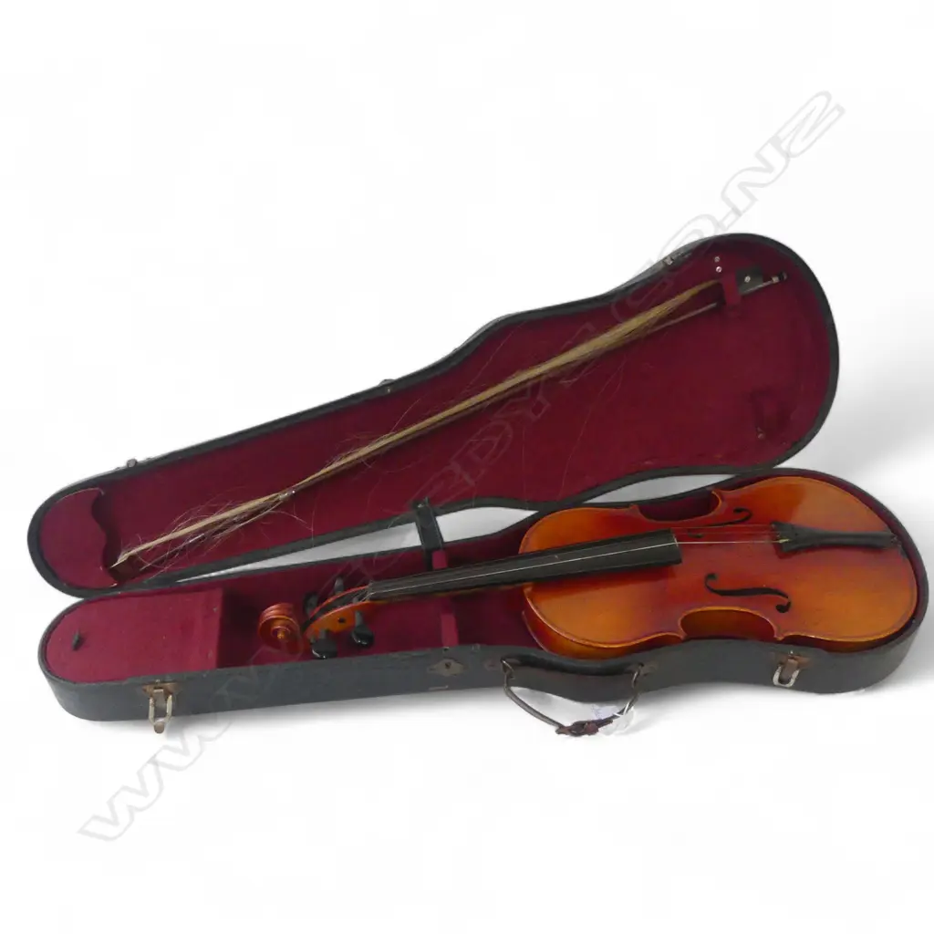 CASED VIOLIN L.600mm Image 1++