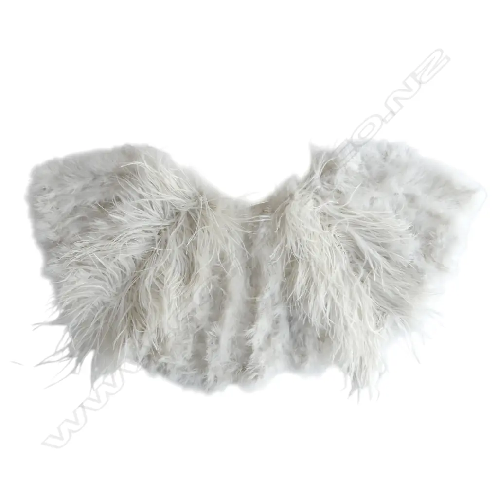 FRENCH 1920'S FEATHER CAPE Image 1++