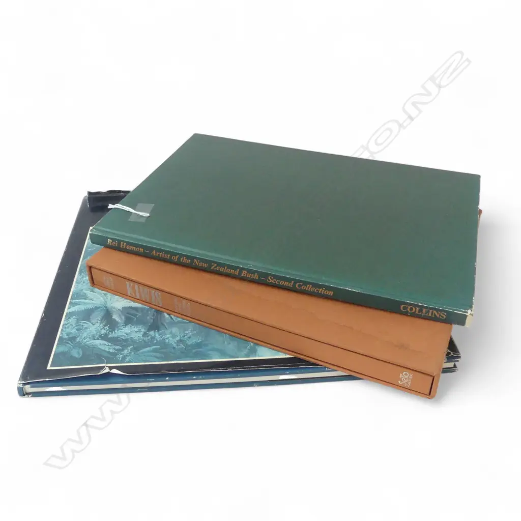 3 NZ ART BOOKS; REI HAMON, KIWIS HARRIS CHING, JONATHAN WHITE Image 1++
