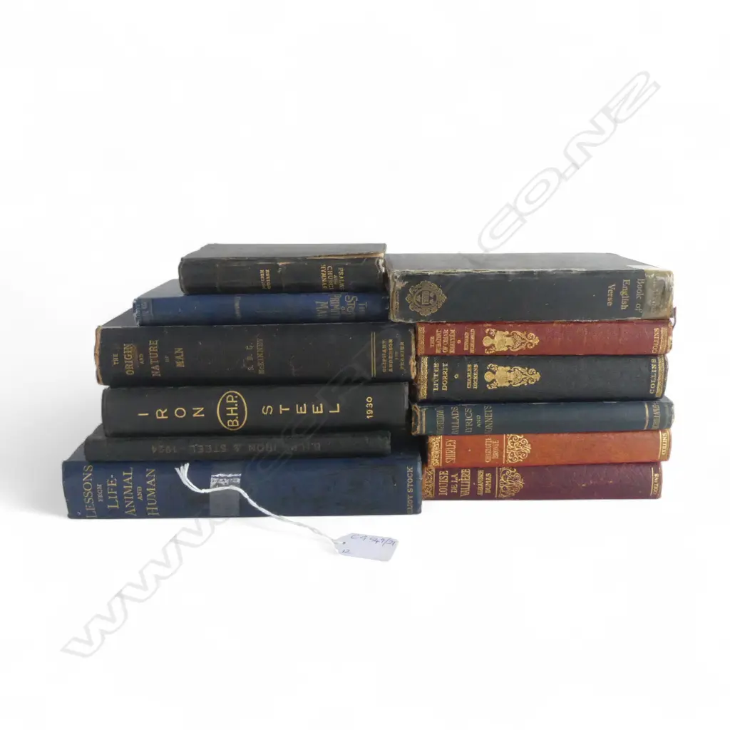 12 ANTIQUE BOOKS; CLASSICS ETC Image 1++