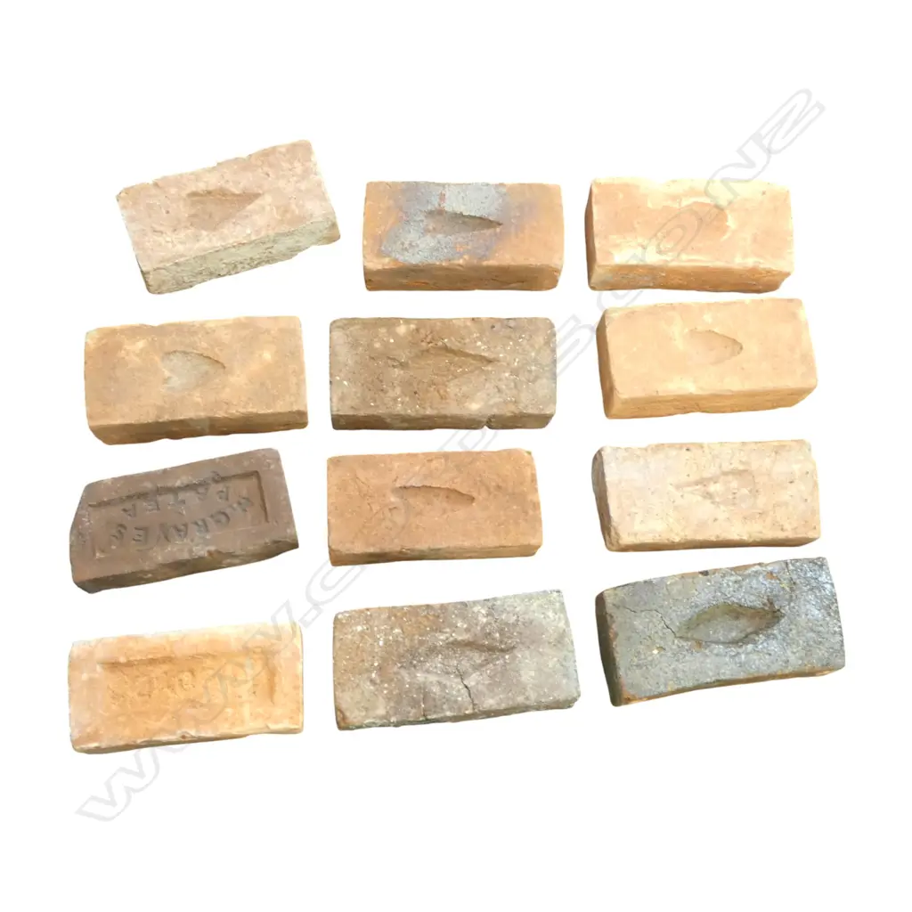 12 ASST. N.Z. BRICKS Image 1++