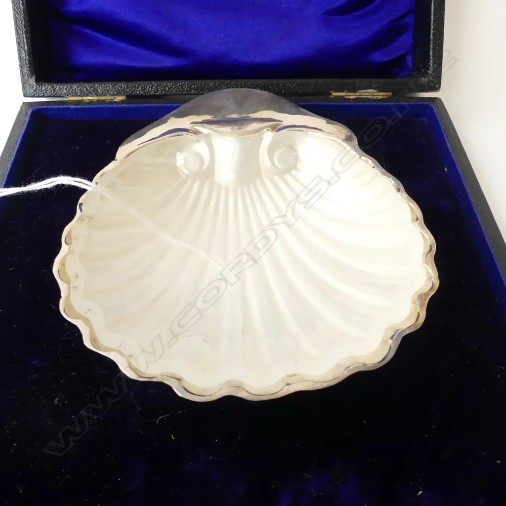 CASED STG SILVER SCALLOP TRAY 37.3gms Image 1++