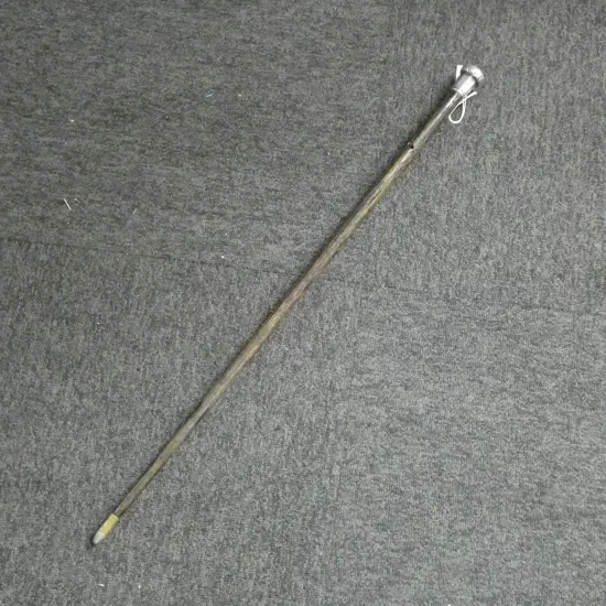 SWAGGER STICK w. STG SILVER CAP L.735mm