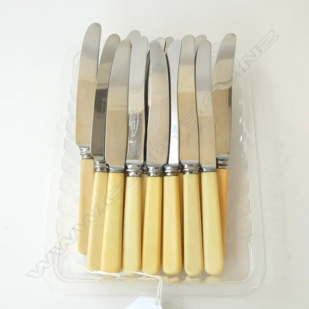 14 VINTAGE ‘BONE’ HANDLE KNIVES SHEFFIELD GOOD CONDITION, L.205MM Image 1++