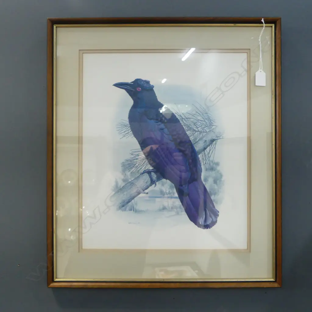 W. T. COOPER BIRD PRINT 440x370mm Image 1++