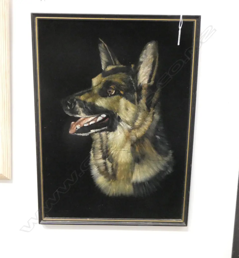 PORTRAIT PAINTING OF DOG ON VELVET  445x320mm Image 1++