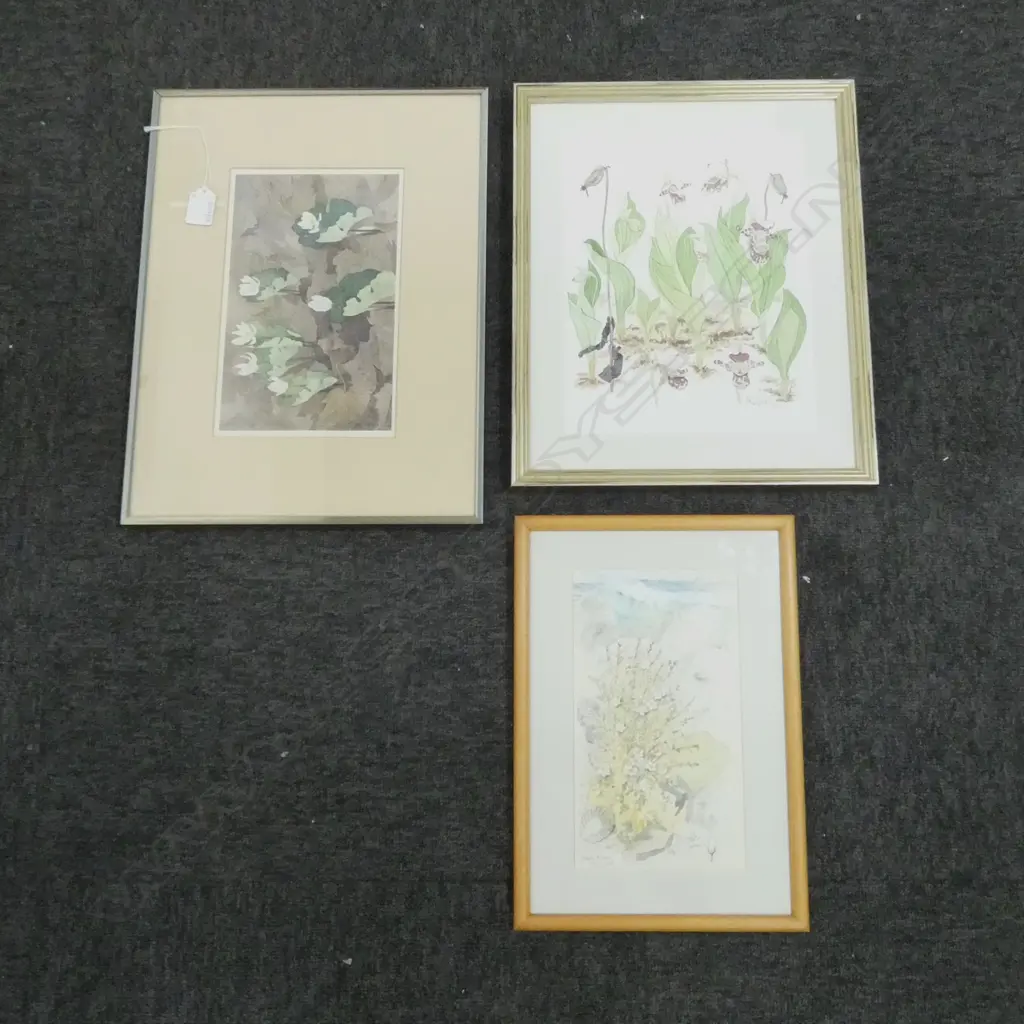 3 FLORAL WCs; 'BLOODROOT' KATHLEEN KOLB-FISHER '82 160x250mm, R W TYLER '93, SHEILA NATUSCH '88 Image 1++