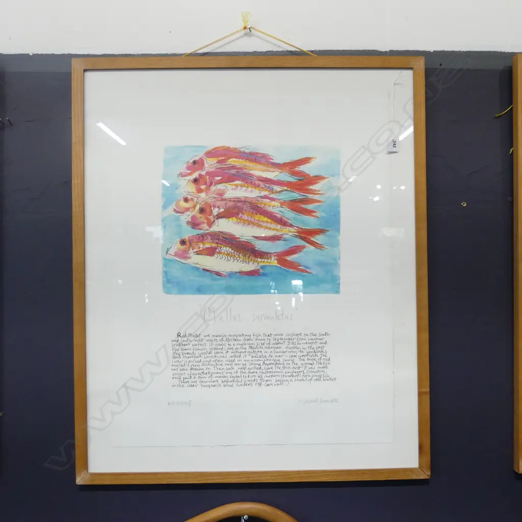 RICHARD BRAMBLE (UK b.1968) 'MULLUS SURMULETUS'  AP 730x600mm Image 1++