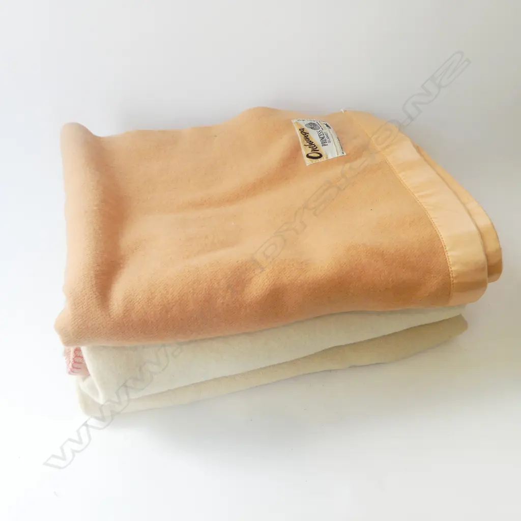 ONEHUNGA PRINCESS BLANKET + 2 OTHERS Image 1++