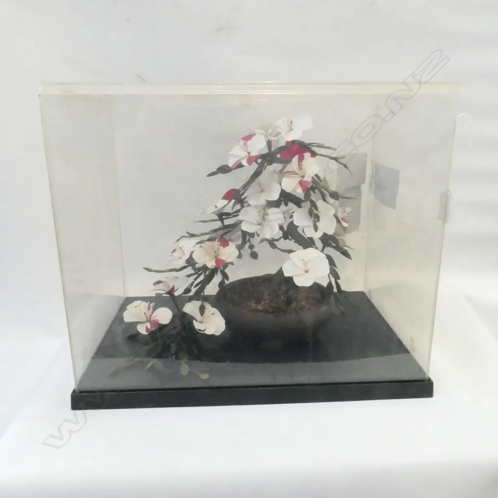 CASED FLOWERS AF Image 1++