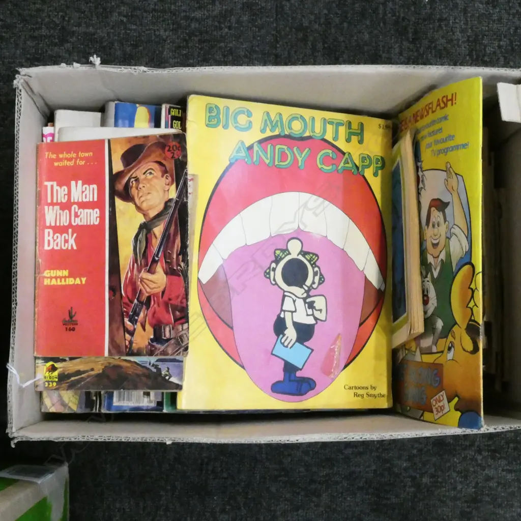 2 BOXES OF ASSORTED COMICS & MAGAZINES Image 1++