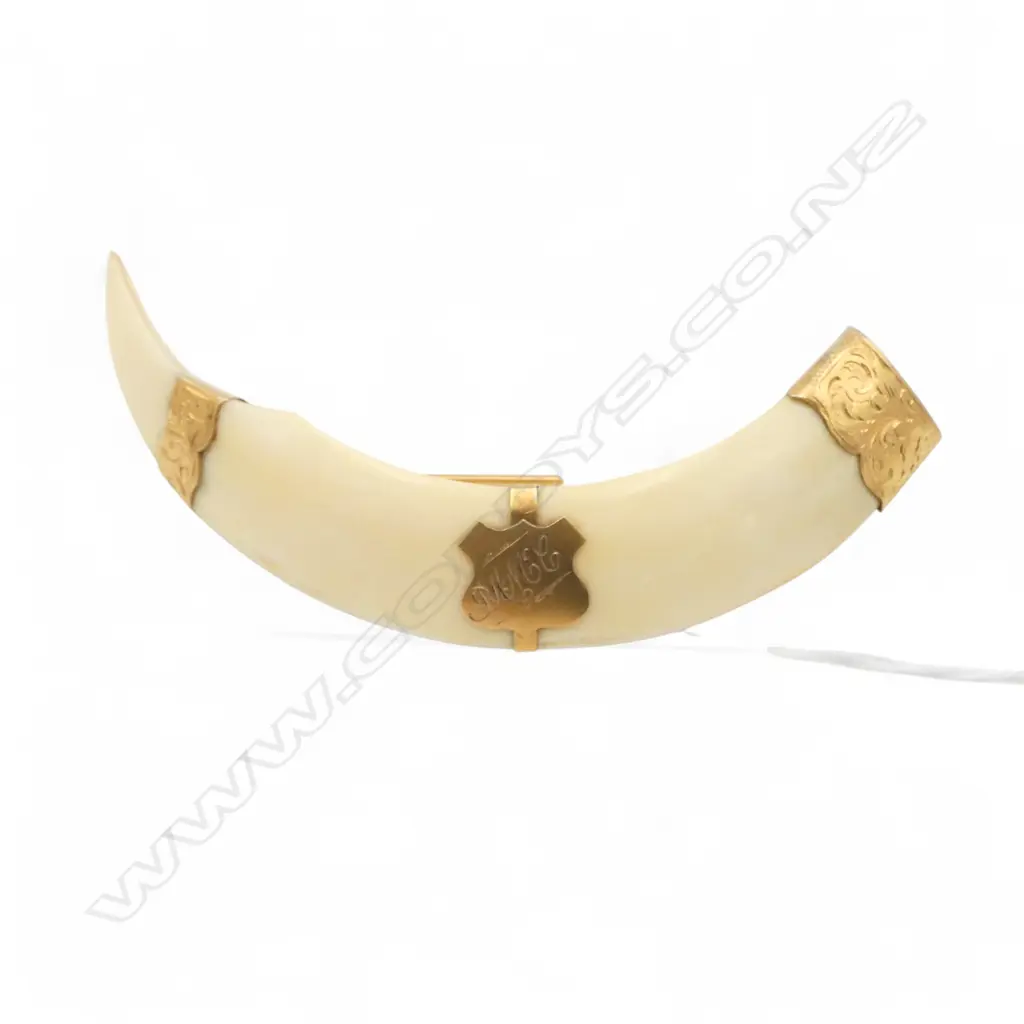 9CT TUSK BROOCH W.100mm Image 1++