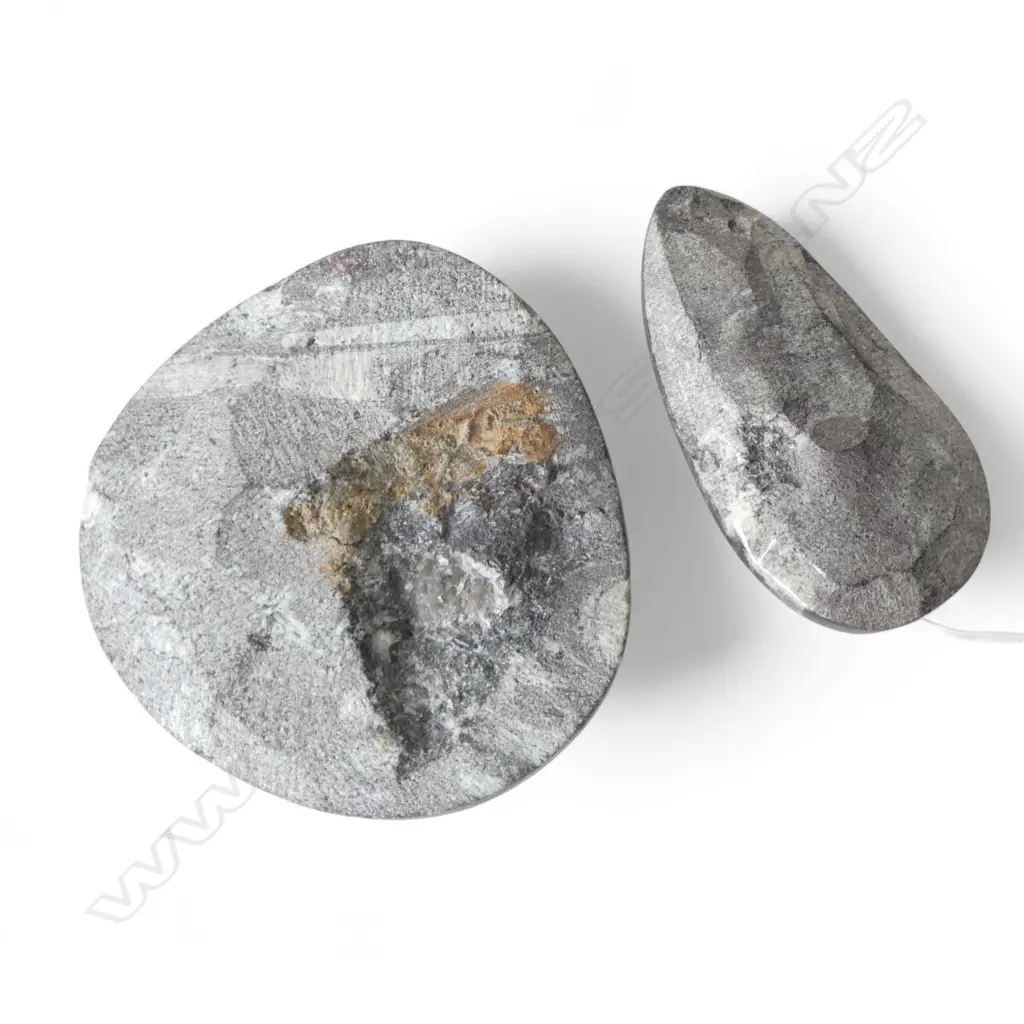 2 POLISHED FOSSIL STONES 90mm dia Image 1++