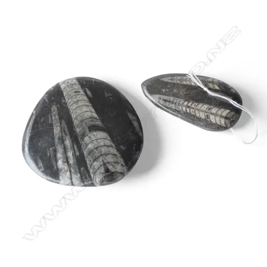 2 POLISHED FOSSIL STONES 90mm dia