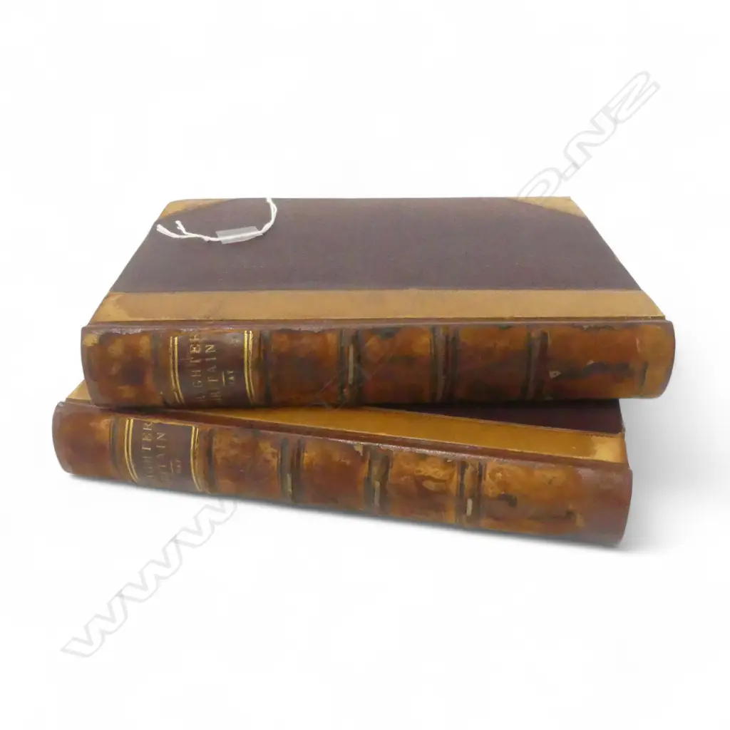 2 VOLS. SET 'BRIGHTER BRITAIN! OR SETTLER & MAORI IN NORTHERN NZ' BY WILLIAM DELISLE HAY 1882 H.200mm Image 1++