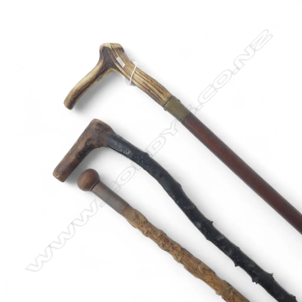 3 WALKING STICKS L.900mm Image 1++
