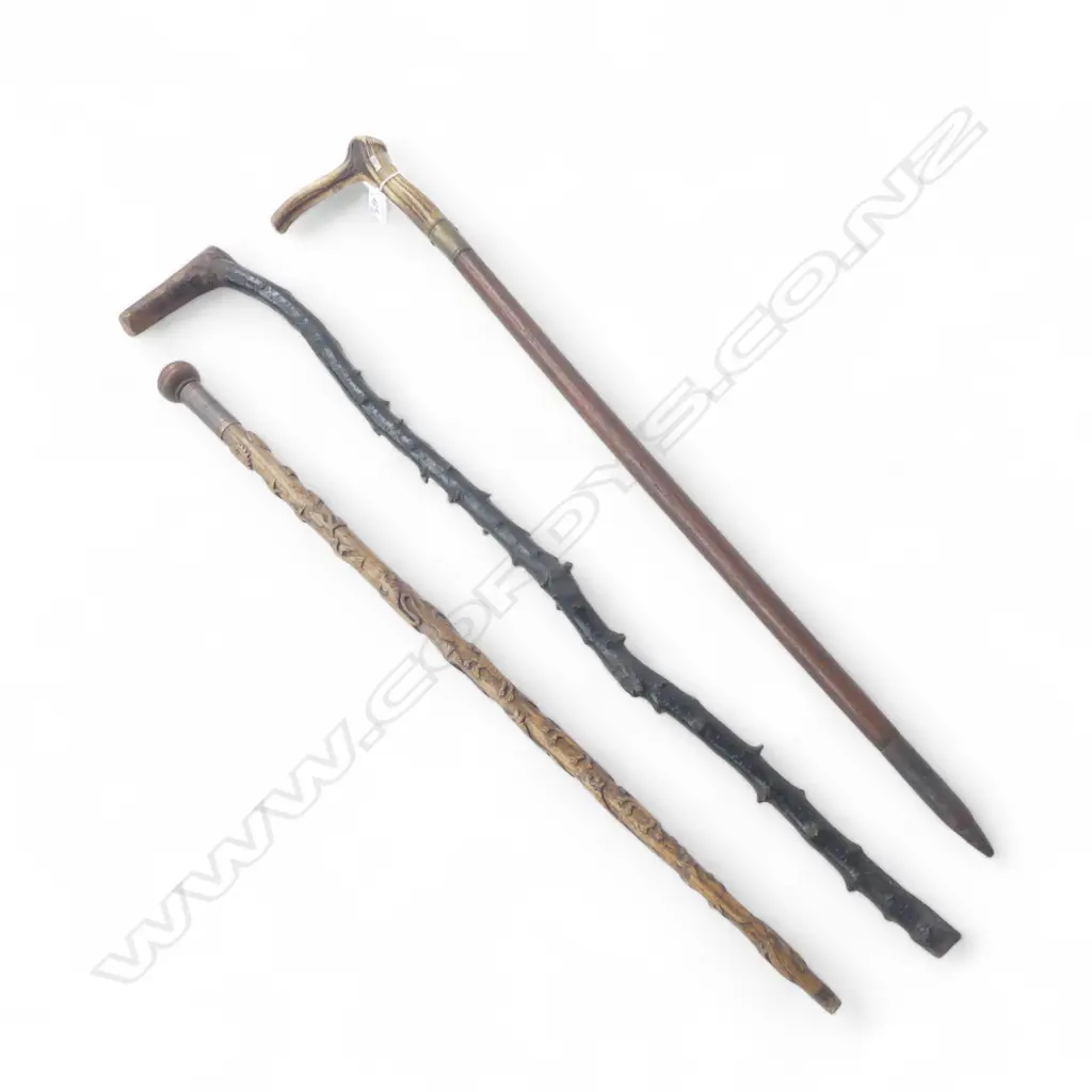 3 WALKING STICKS L.900mm Image 1++