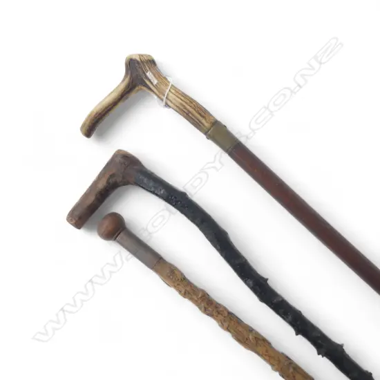 3 WALKING STICKS L.900mm